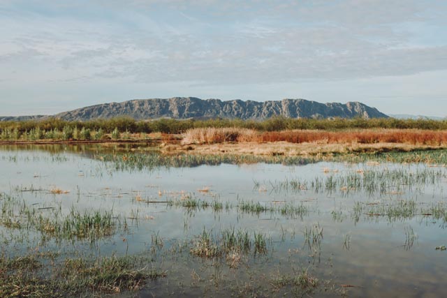 Presidio, Texas